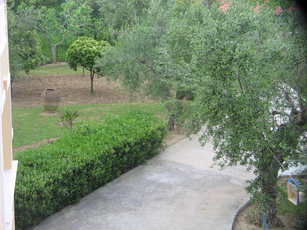 Dimaras Apartments Vasilikí 外观 照片