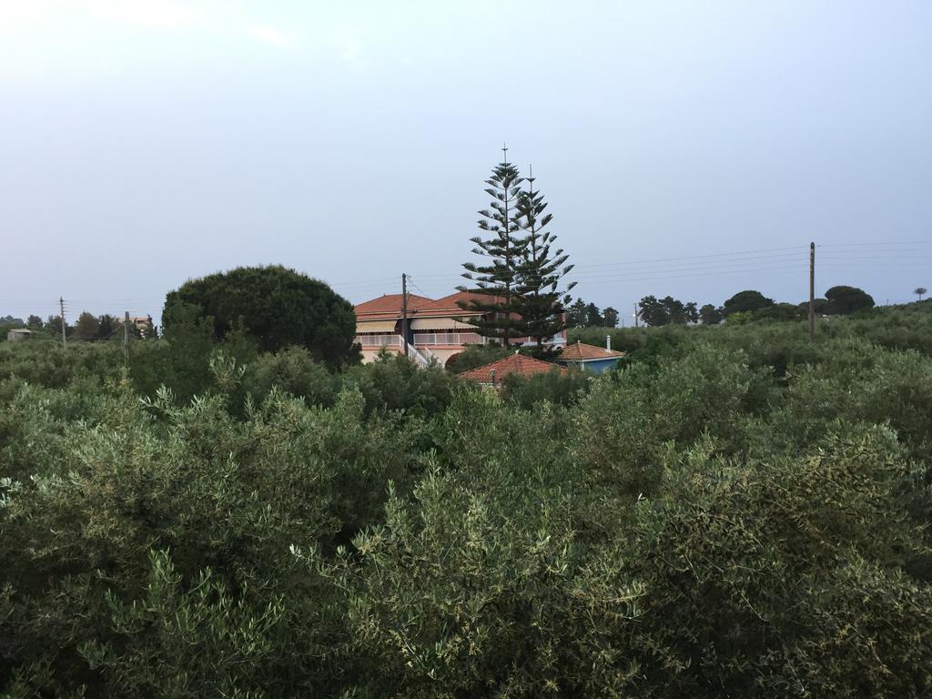 Dimaras Apartments Vasilikí 外观 照片