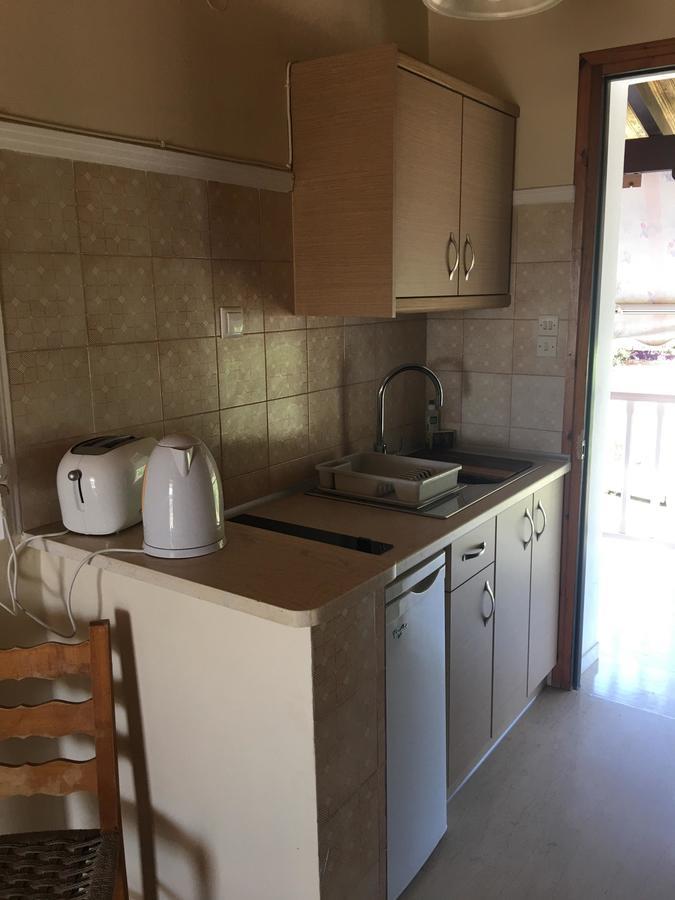 Dimaras Apartments Vasilikí 外观 照片